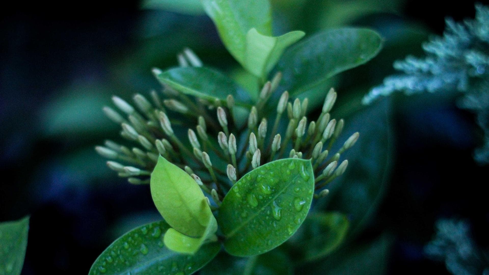A person reading a book in a cozy cafe