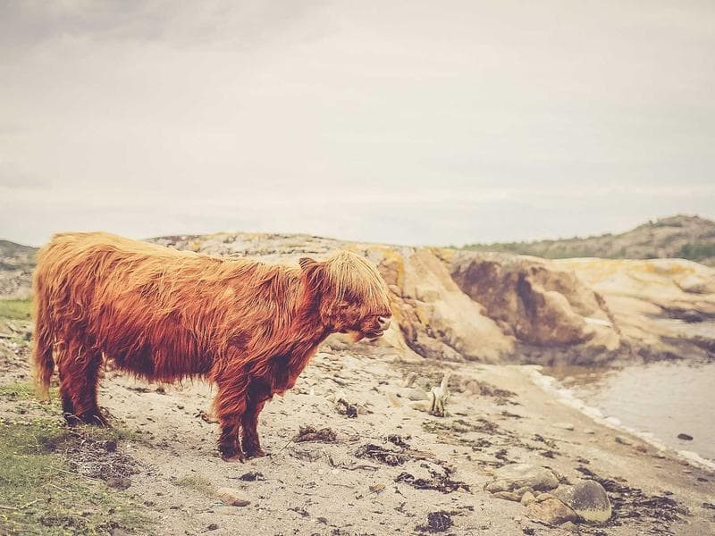 Building Effective Technical Roadmaps in Uncertain Times