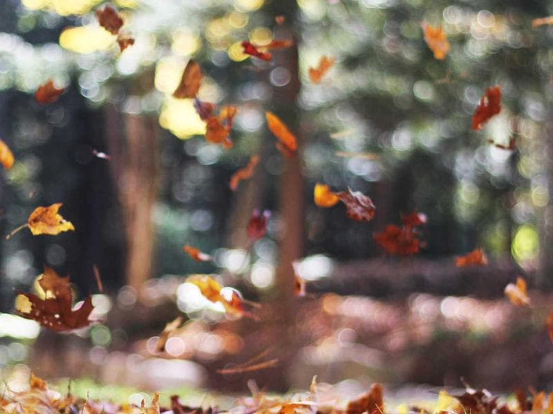 7 Proven Strategies to Reduce Cloud Spending Without Compromising Performance