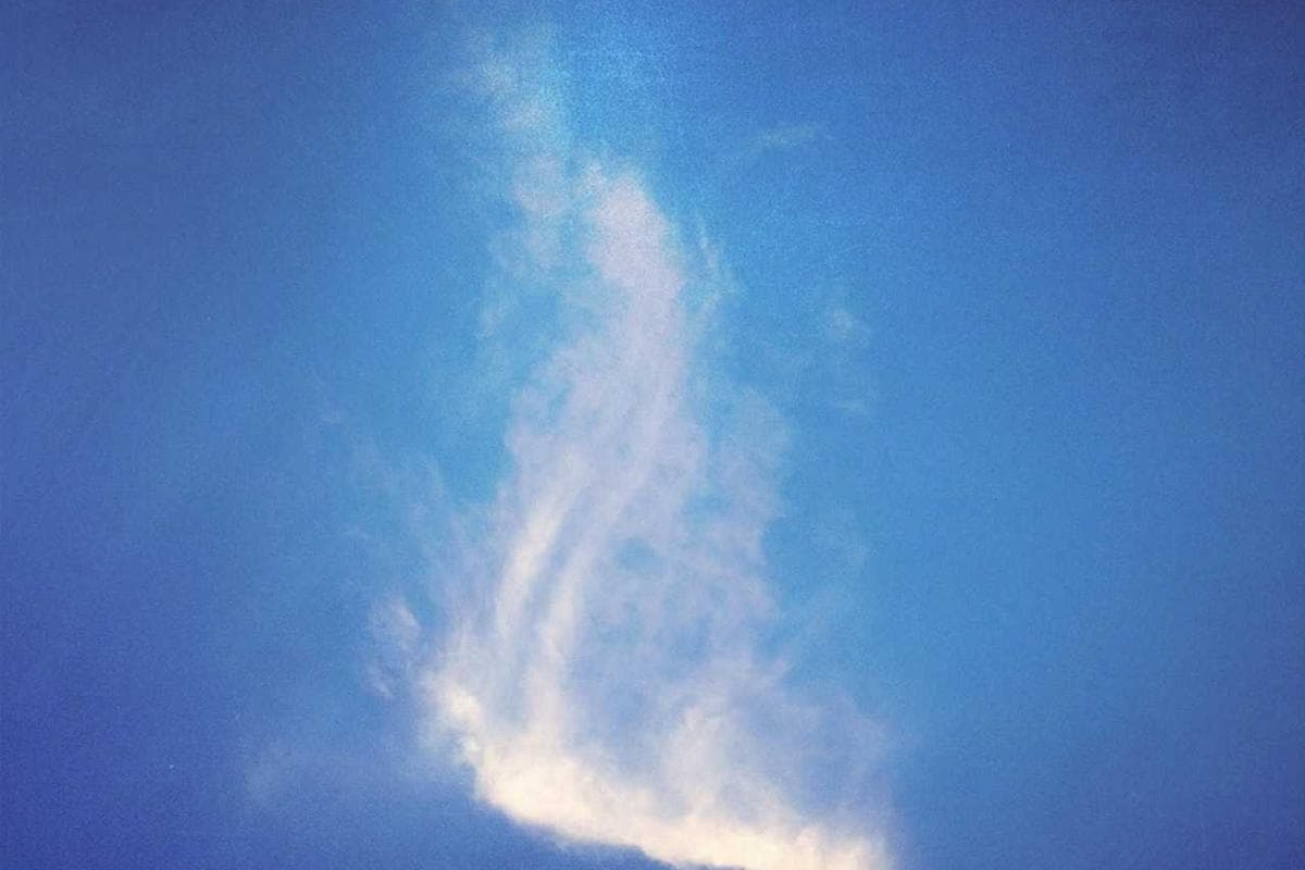 Custom Software Development